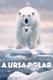 A Ursa Polar