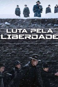 Luta pela liberdade